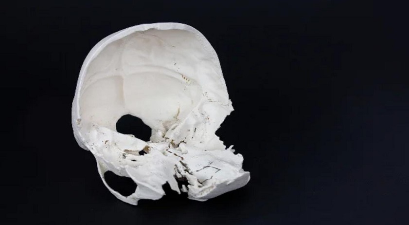 WhatsApp Image 2025-07-01 at 2.30.58 PM (1)